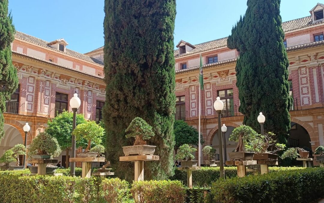 Erasmus for Teaching a Murcia